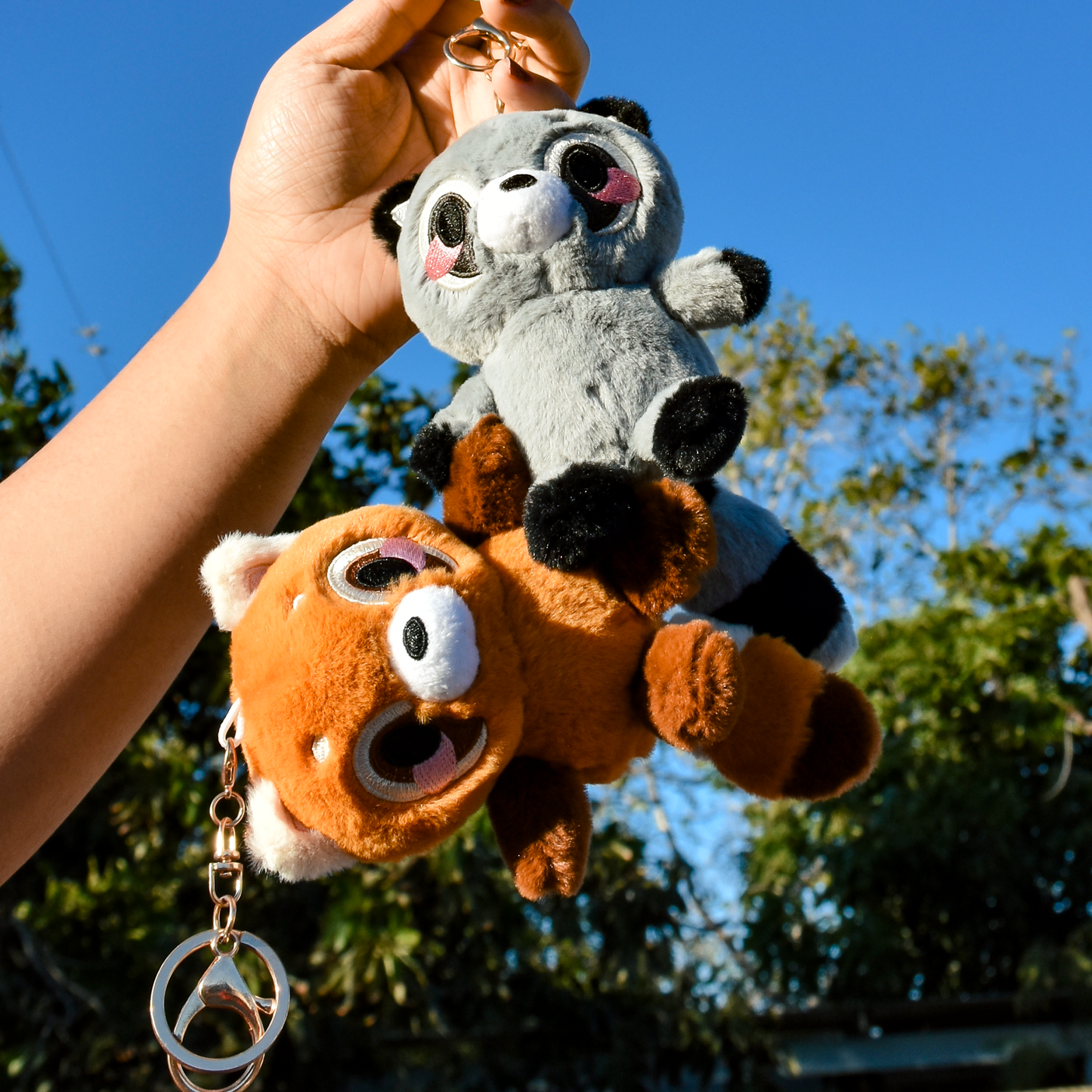 Biscuit & Bani Plush Keychain Set